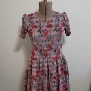 INCREDIBLE hummingbird LuLaRoe Dress!